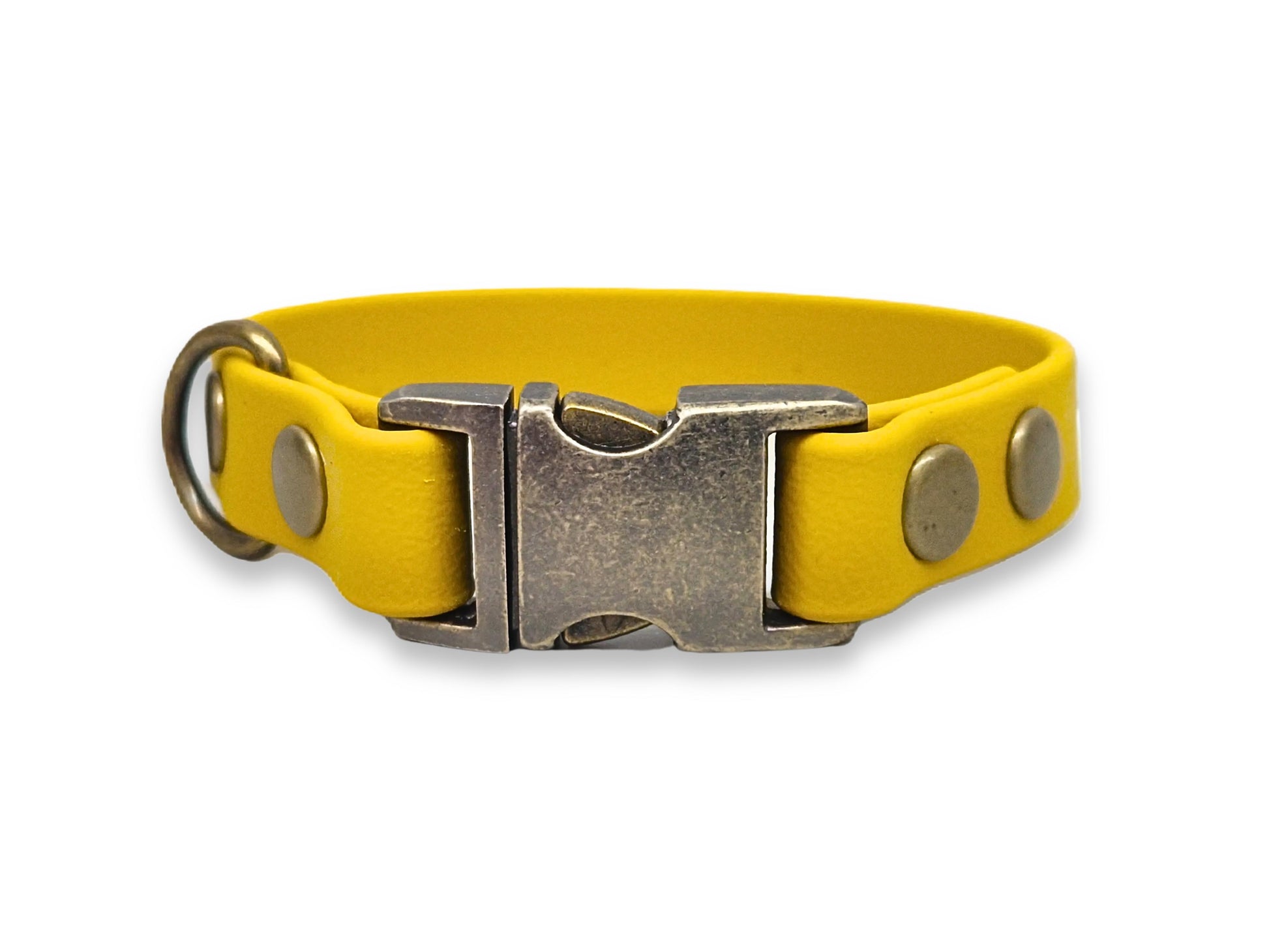 Yellow biothane dog collar for small breeds with a metallic buckle on a white background