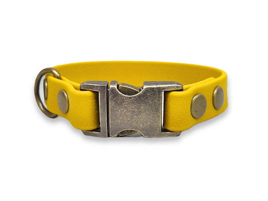 Yellow biothane dog collar for small breeds with a metallic buckle on a white background