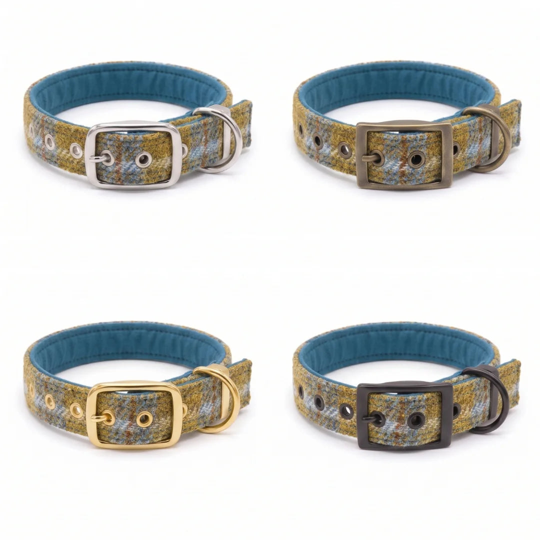Four dog collars arranged in a 2x2 grid on a white background. Each collar has a blue fabric lining and a textured outer strap in a blue, yellow, and white pattern, shown with different buckle colors: silver, bronze, gold, and black.