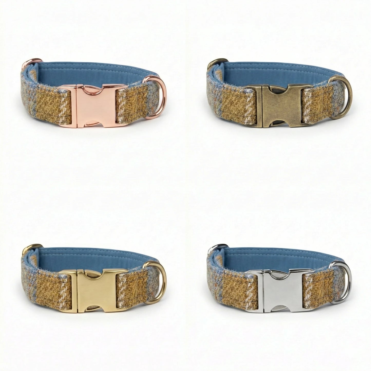 Four dog collars with different metal buckles on a white background