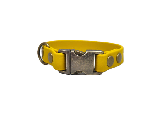 Mustard Small Breed Waterproof Biothane Dog Collar 21cm to 28cm Neck