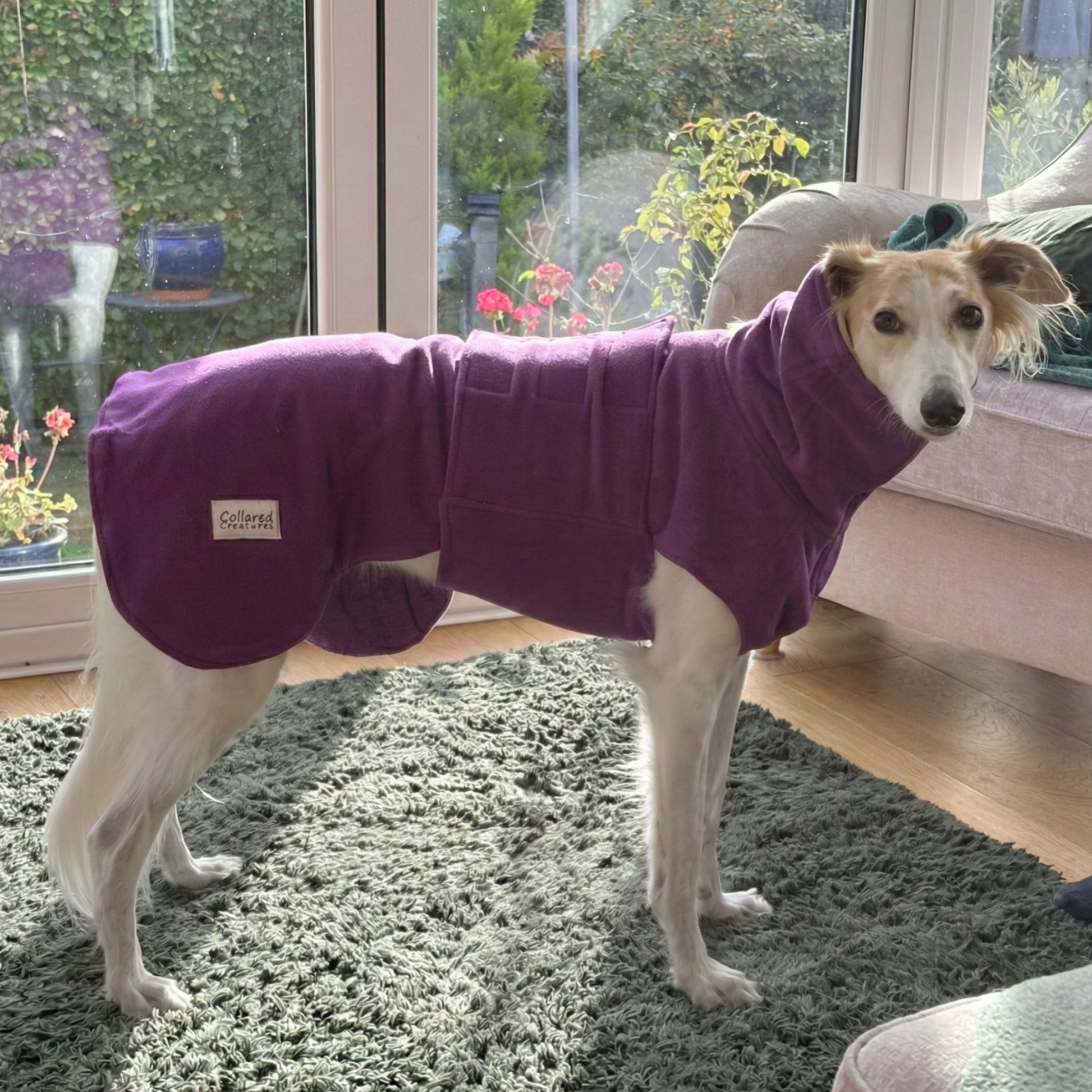 Magenta Perfectly Practical Dog Drying Coat - Collared Creatures LTD