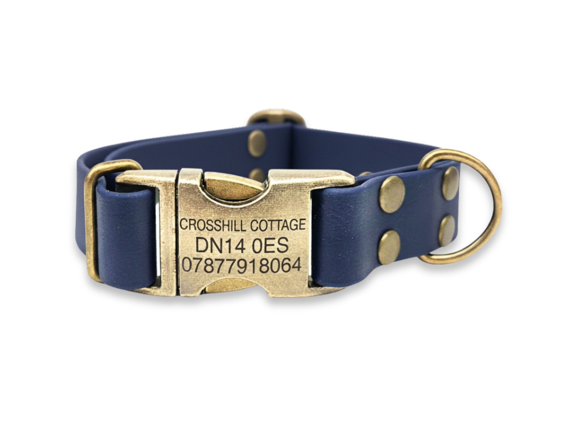 Navy blue dog collar with a brass buckle on a white background