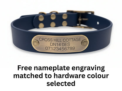 Navy blue dog collar with a brass nameplate on a white background