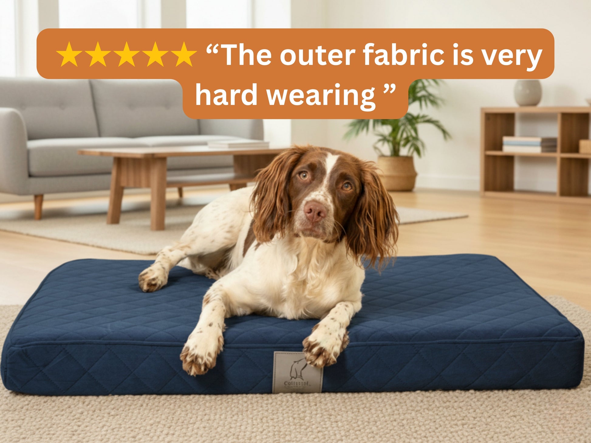 Brown and white spaniel lying on a navy blue quilted dog mattress bed with a five-star customer review overlay