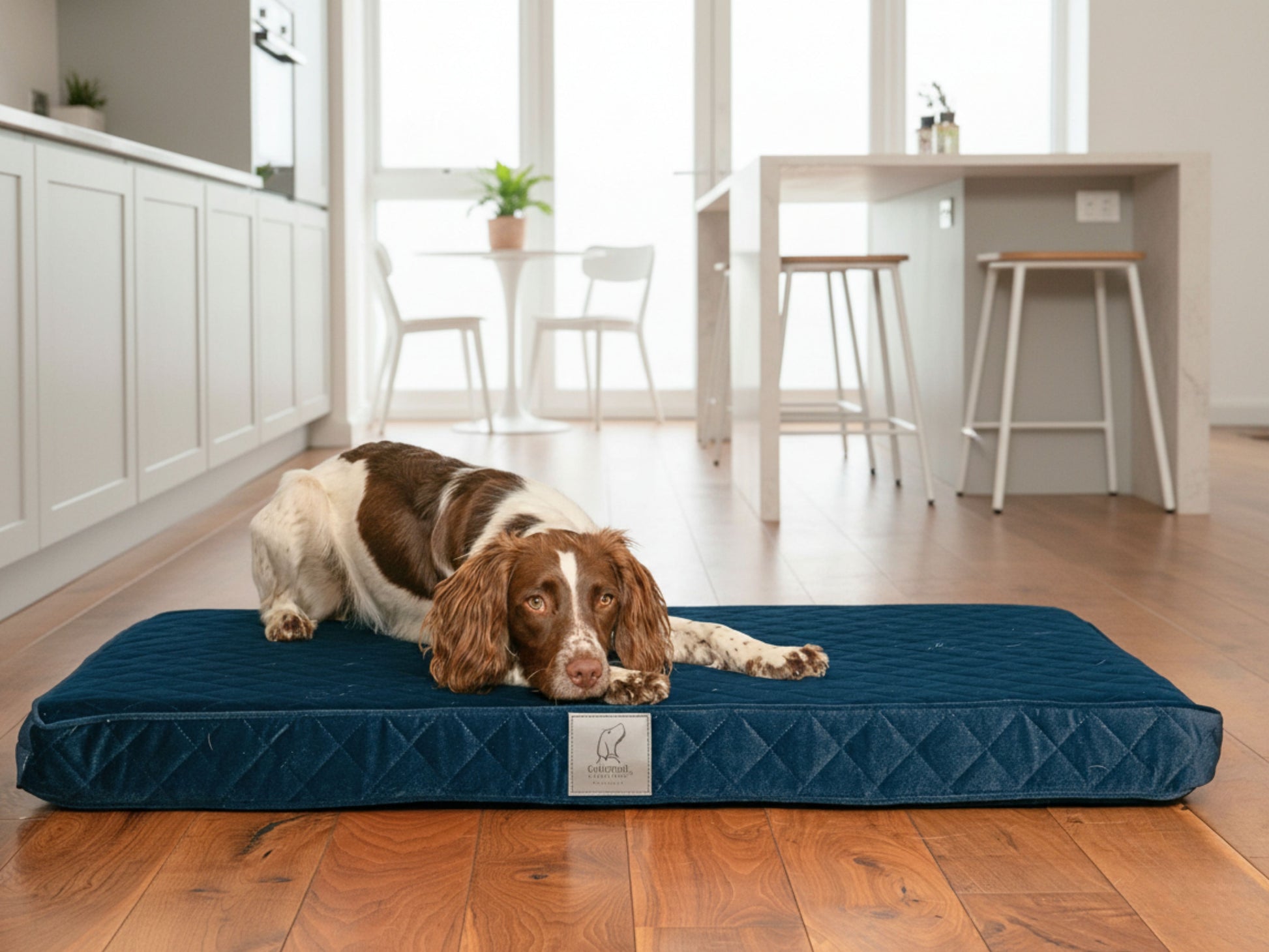 Brown and white spaniel lying on a navy blue quilted luxury dog mattress bed in a modern kitchen