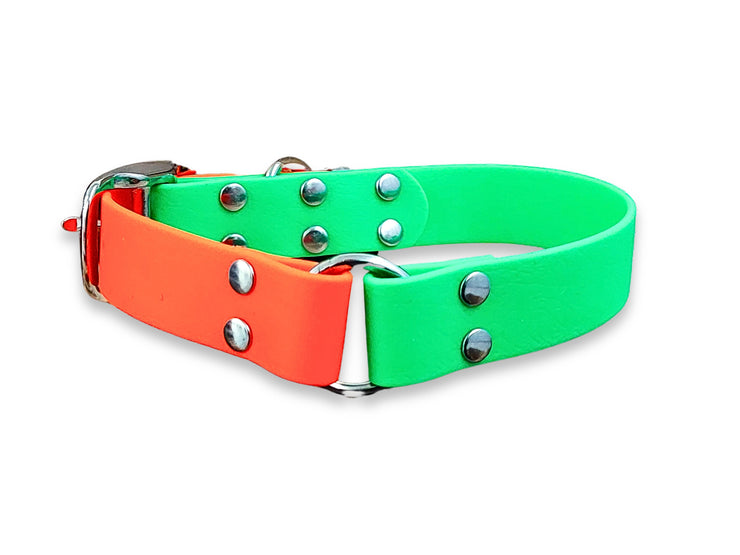 Neon Green & Neon Orange Multicolour Biothane buckle dog collar – waterproof, wipe-clean and durable – back view by Collared Creatures