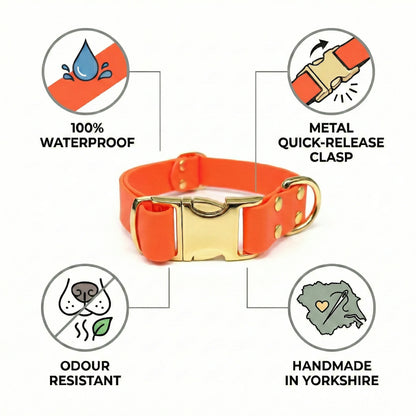 Neon Orange Waterproof Biothane Metal Clasp Dog Collar