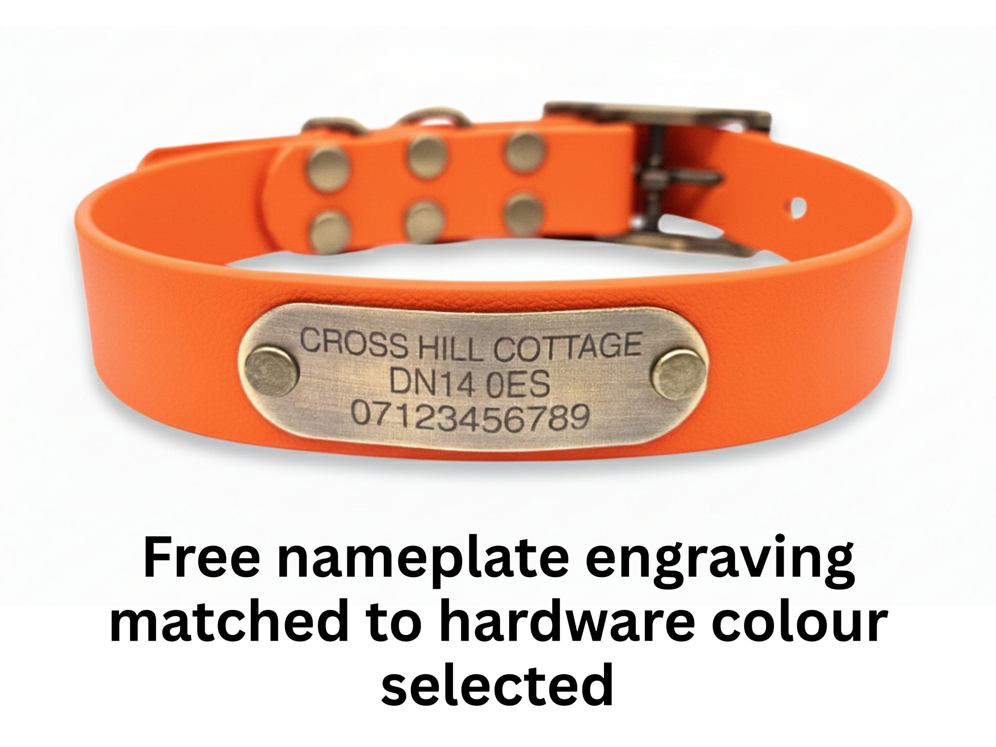 Orange waterproof dog collar with a brass nameplate on a white background