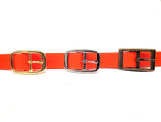 Neon Orange Waterproof Biothane Buckle Dog Collar