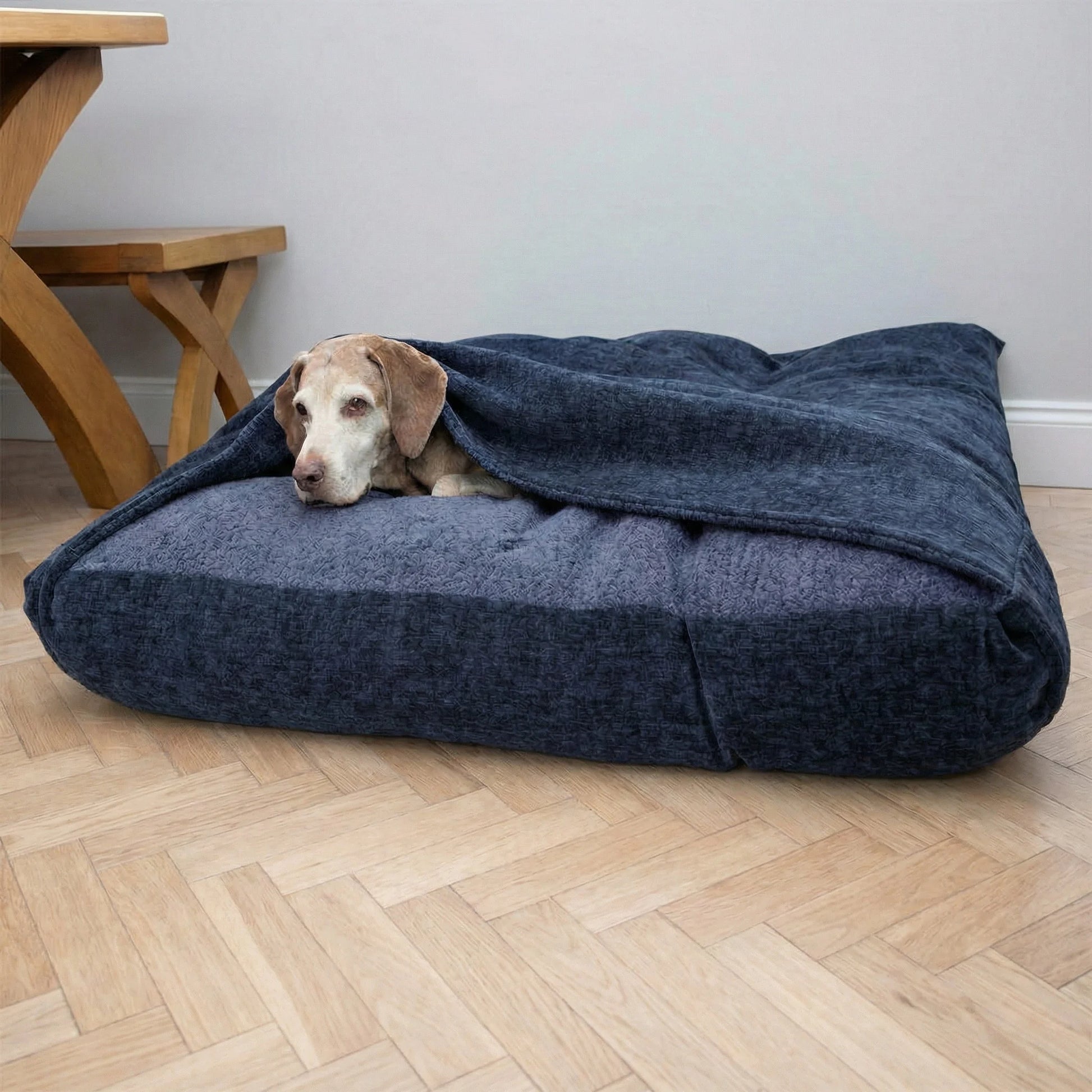 Dog lying in a large blue hooded dog bed in a room with wooden flooring and a table.