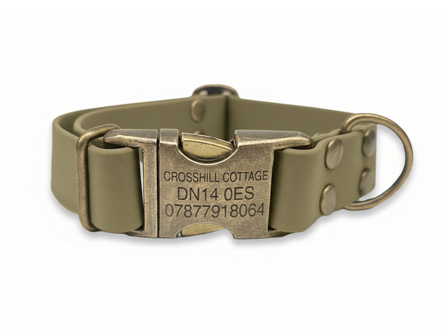 Dog collar with a metallic buckle on a white background