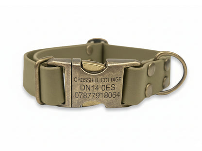 Dog collar with a metallic buckle on a white background