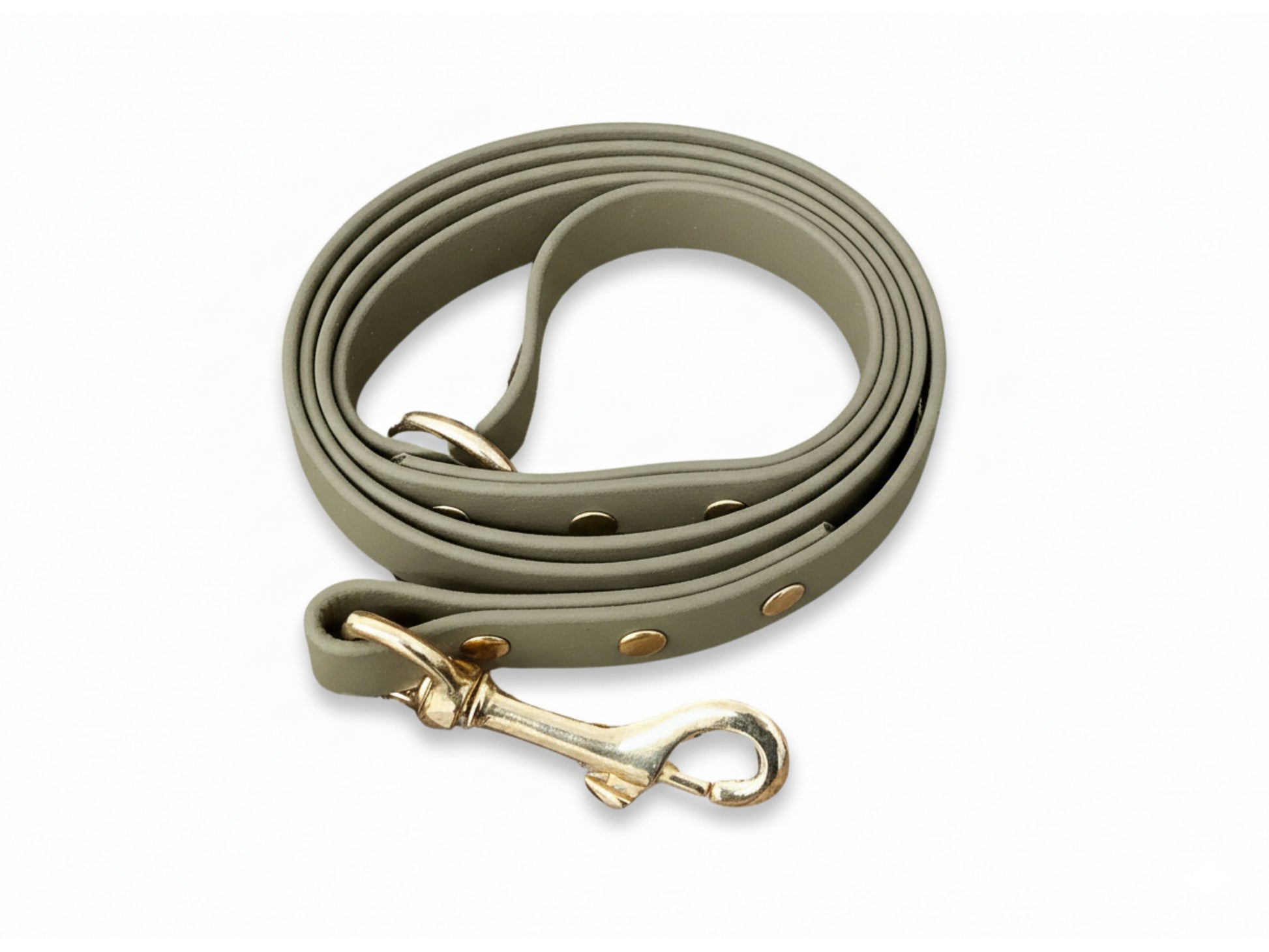 Olive Biothane Dog Lead – Waterproof Clip Leash for Outdoor Dogs
