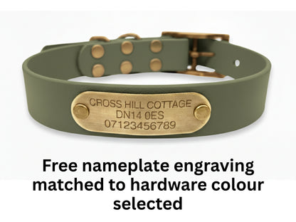 Green dog collar with a brass nameplate on a white background
