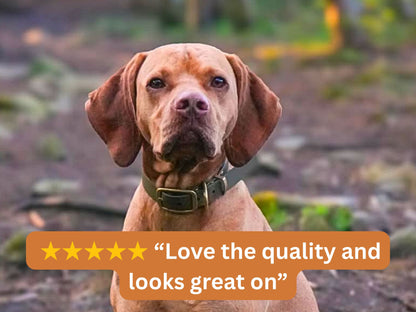 Dog wearing an olive green Biothane collar in a woodland setting with a 5-star review saying “Love the quality and looks great on.”
