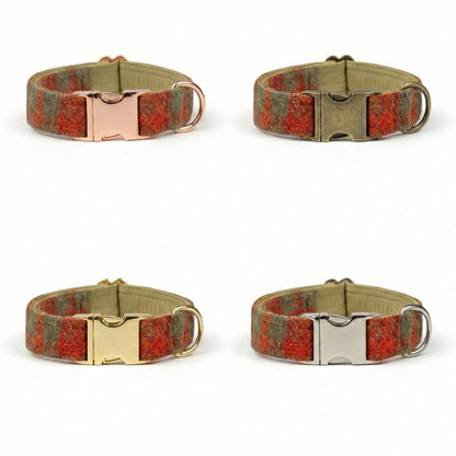 Four dog collars with different buckle colors on a white background