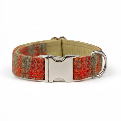 Orange and olive check Harris Tweed dog collar with silver clasp buckle on a white background