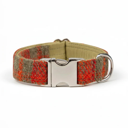 Orange and olive check Harris Tweed dog collar with silver clasp buckle on a white background