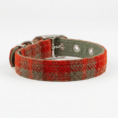 Dog collar with orange and green checkered pattern on a white background