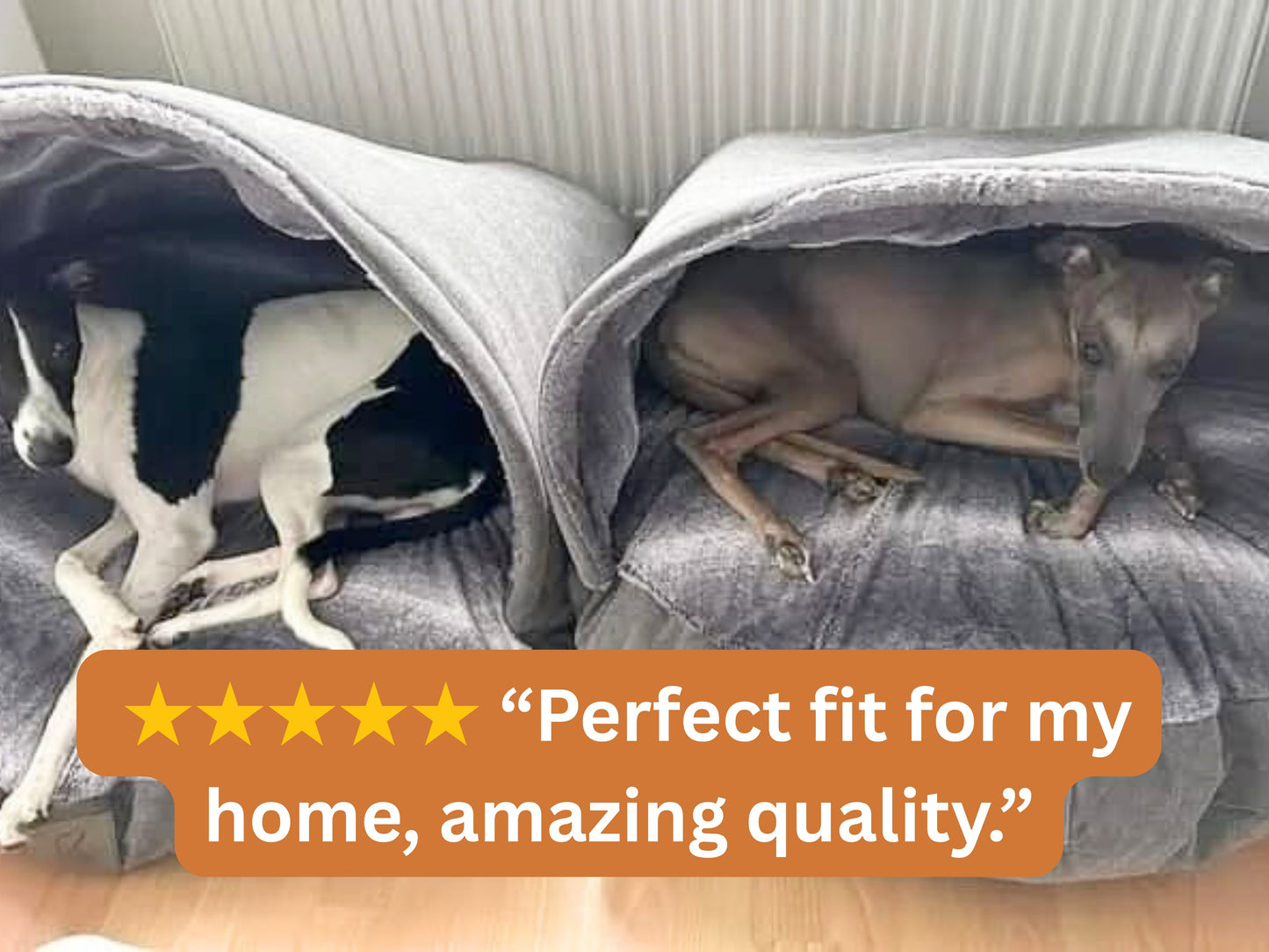 Two dogs peeking out from under gray covers with a five-star rating text overlay.