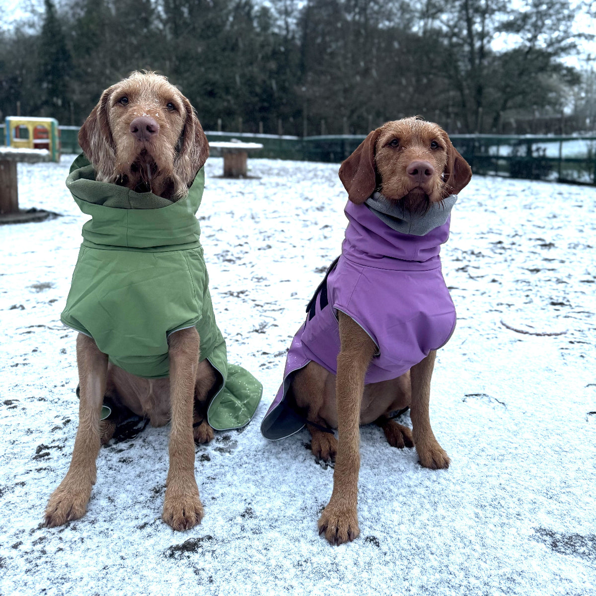 Magenta Superior Waterproof Dog Coat