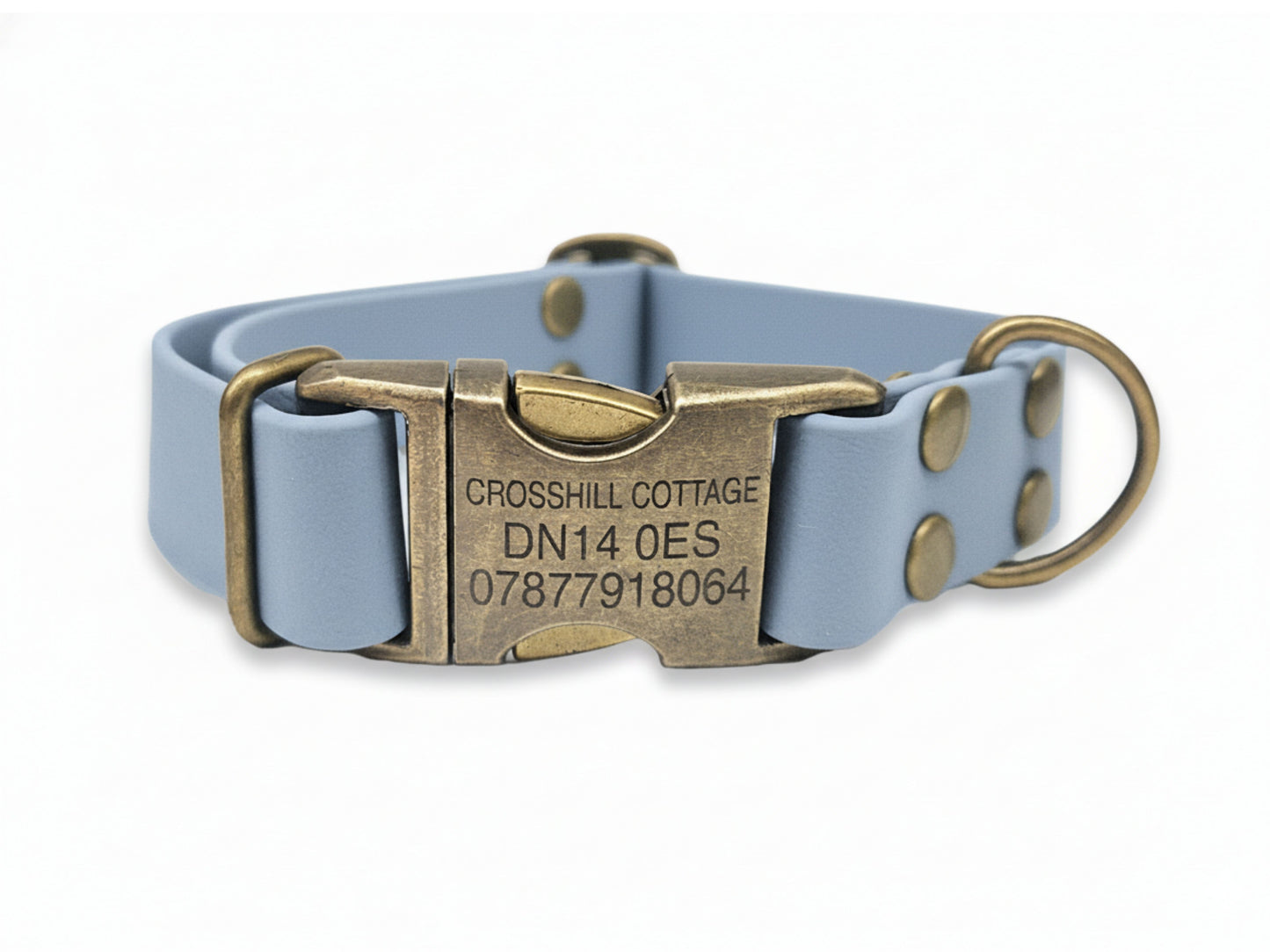 Light blue dog collar with a bronze buckle on a white background
