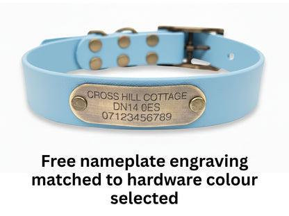 Blue dog collar with a brass nameplate on a white background