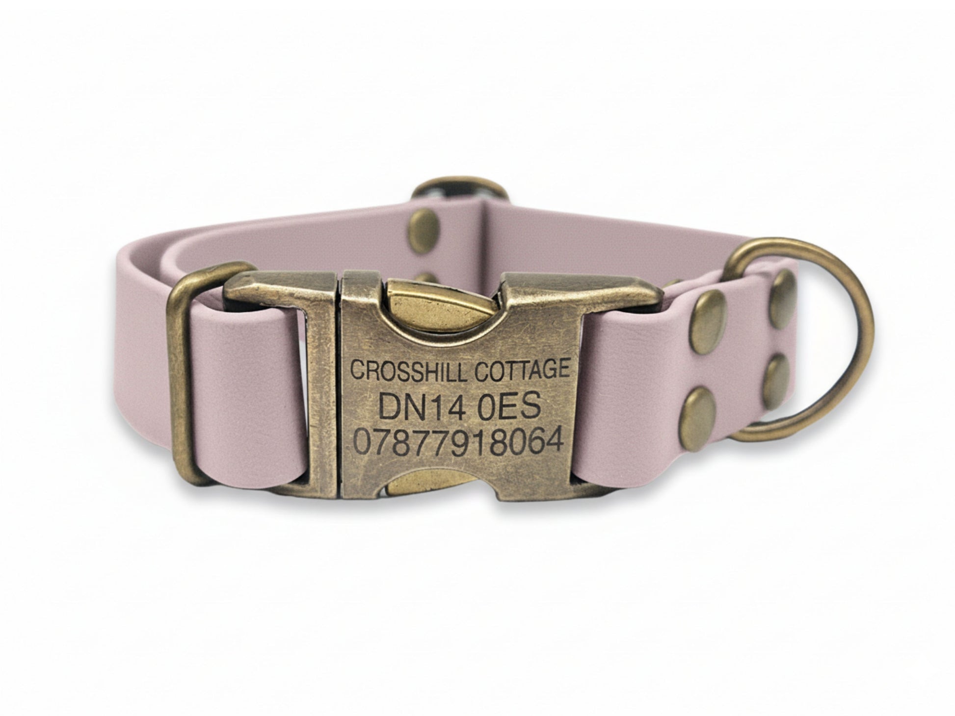 Pink dog collar with a bronze buckle and engraved tag on a white background