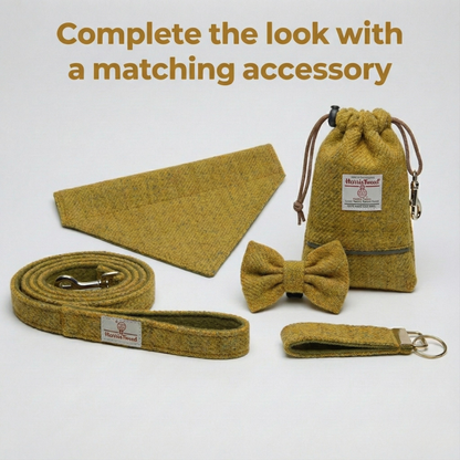 Set of yellow herringbone accessories including a bow tie, strap, and pouch on a white background.