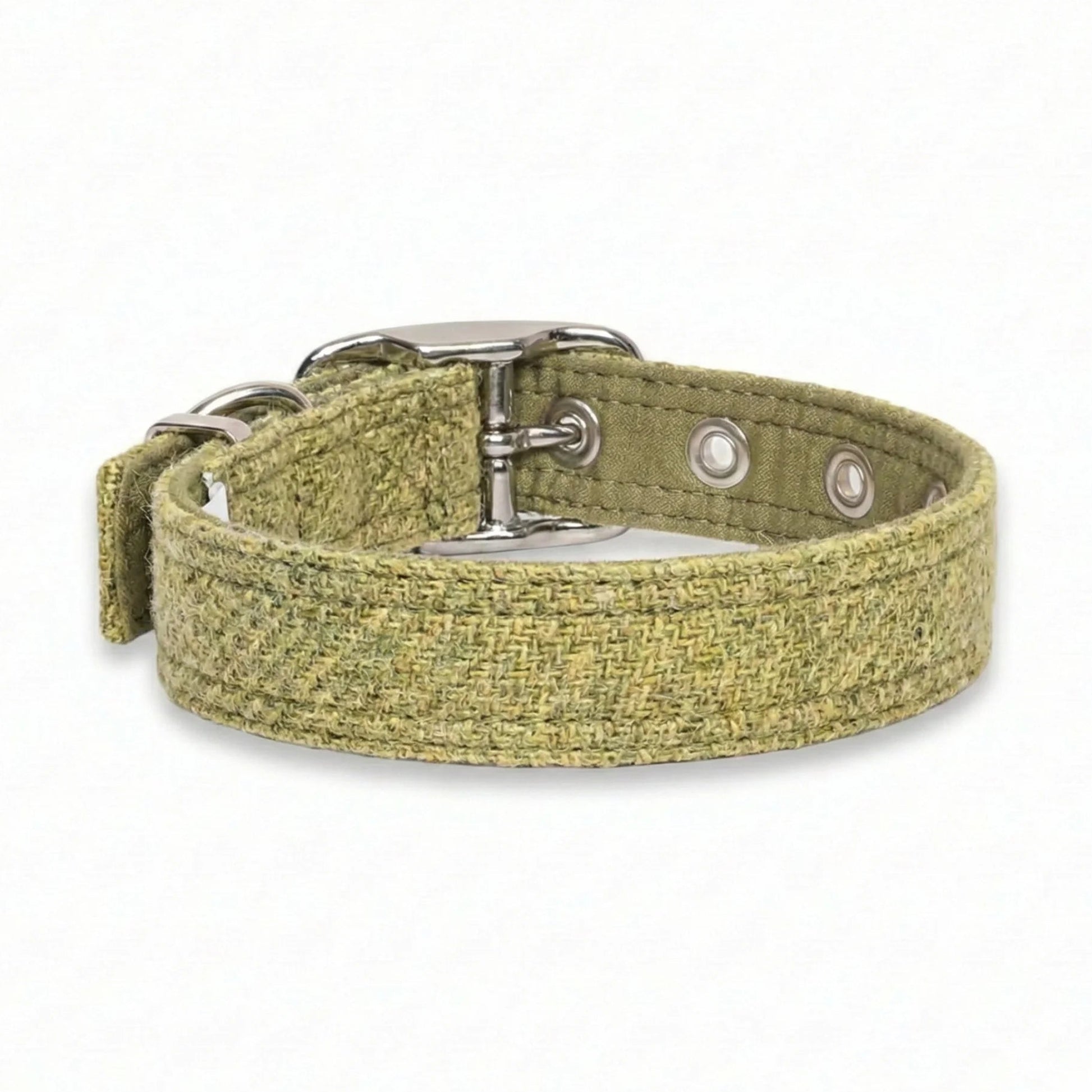 Green tweed dog collar with metal buckle on a white background