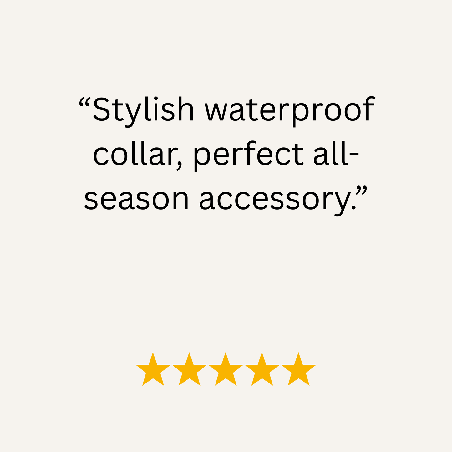 Wine Waterproof Biothane Buckle Dog Collar - Collared Creatures LTD