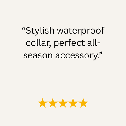 Wine Waterproof Biothane Buckle Dog Collar - Collared Creatures LTD