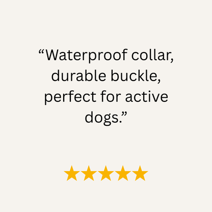 Dark Brown & Beige Multicolour Waterproof Biothane Buckle Dog Collar - Collared Creatures LTD