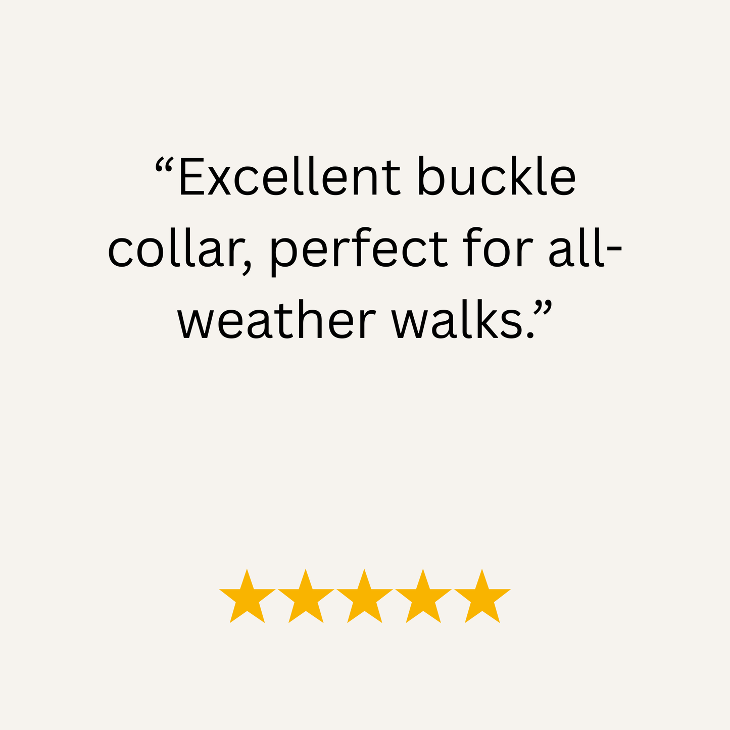 Navy Blue Waterproof Biothane Buckle Dog Collar - Collared Creatures LTD