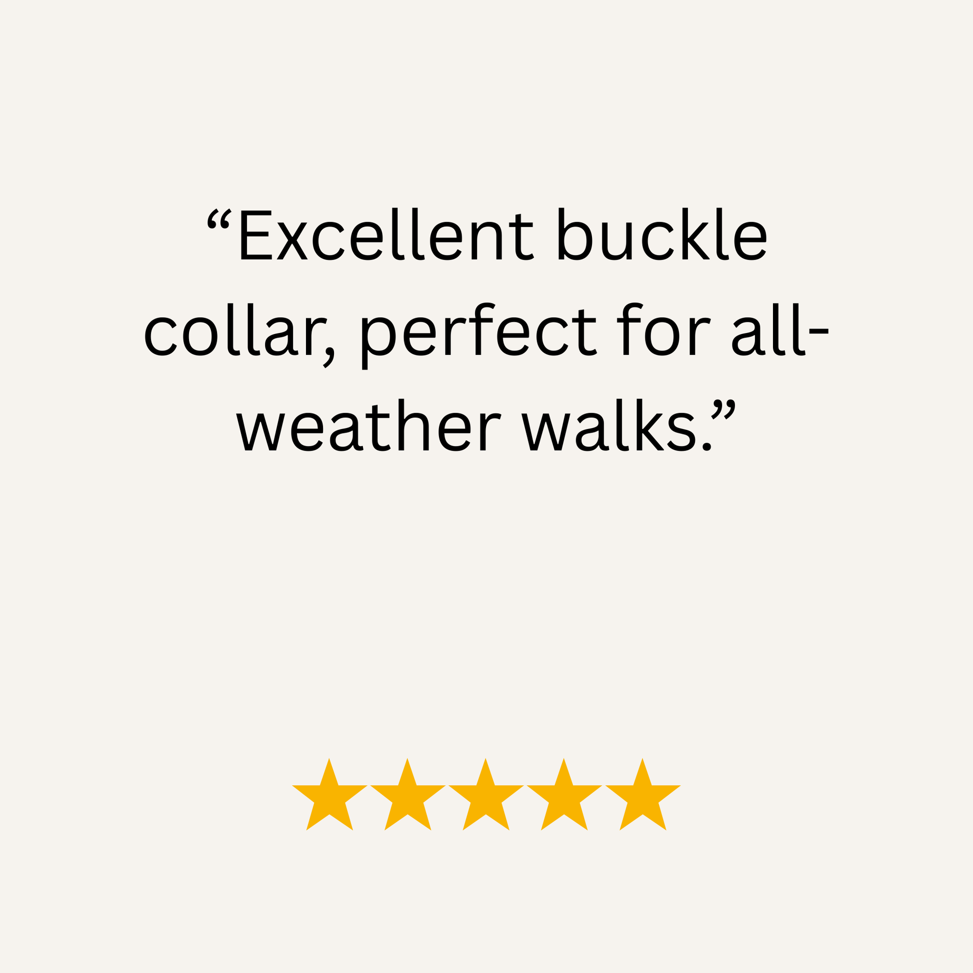 Navy Blue Waterproof Biothane Buckle Dog Collar - Collared Creatures LTD