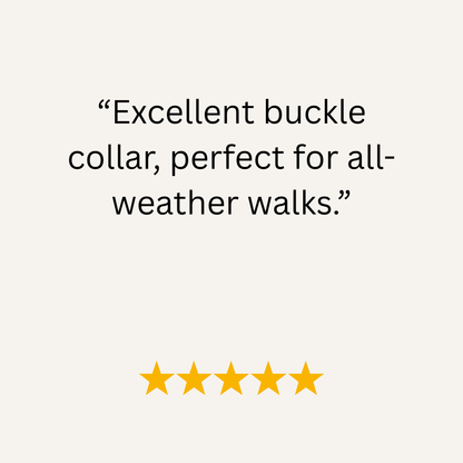 Navy Blue Waterproof Biothane Buckle Dog Collar - Collared Creatures LTD