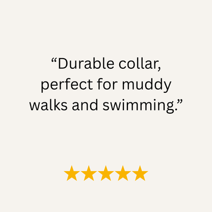 Product review with text 'Durable collar, perfect for muddy walks and swimming.' and five yellow stars on a white background.