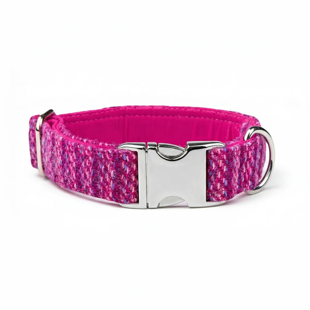Pink Koana Harris Tweed dog collar with silver clasp buckle on a white background