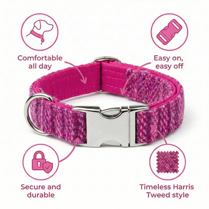 Pink Koana Harris Tweed Dog Collar - Collared Creatures LTD