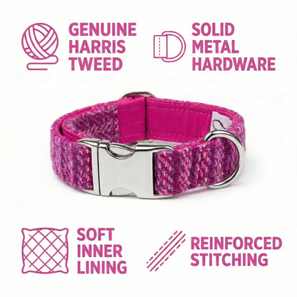 Pink Harris Tweed dog collar with metal hardware on a white background