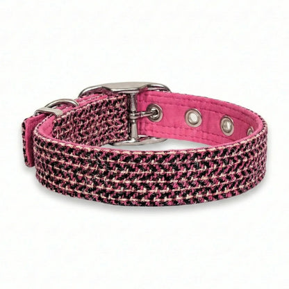 pink paradise harris tweed buckle collar rear view on white background