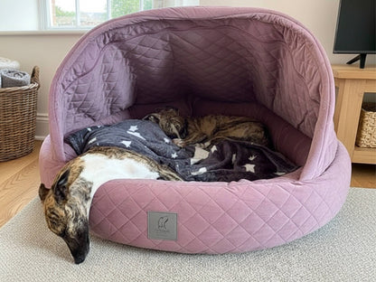 Two greyhounds sleeping in lilac quilted velour deluxe cocoon dog bed with blanket