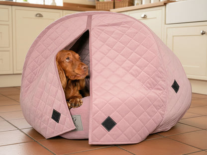 Spaniel dog relaxing inside pink quilted velour deluxe cocoon dog bed in kitchen setting
