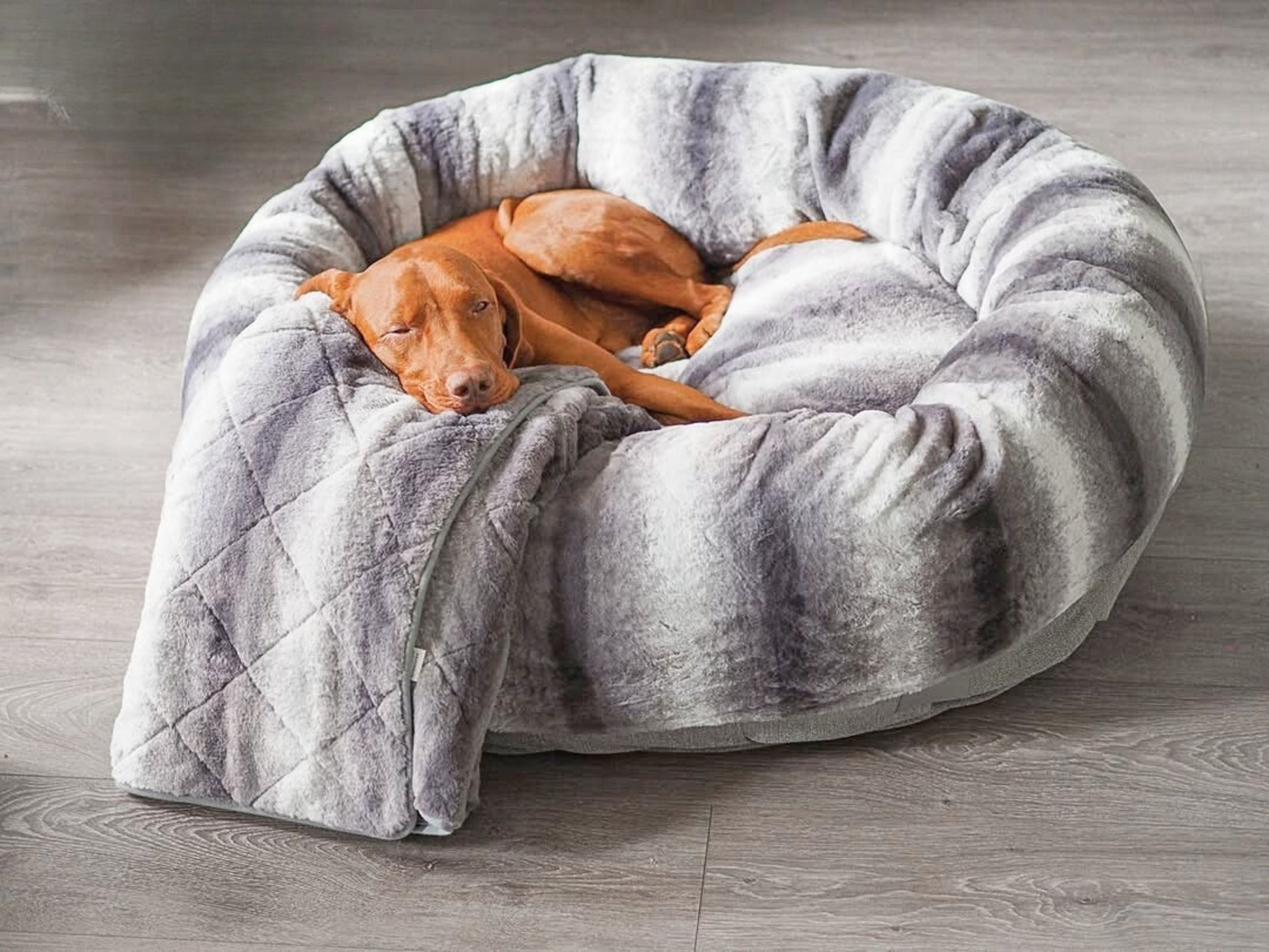 Brown dog resting in a plush grey faux fur donut dog bed with attached quilted blanket, placed on a light wood floor