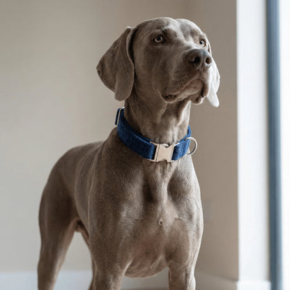 Midnight Blue Herringbone Luxury Harris Tweed Dog Collar