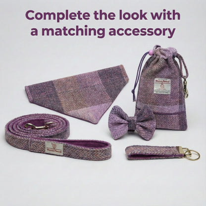 Purple dog accessory set including a collar, leash, bow tie, and pouch on a white background.