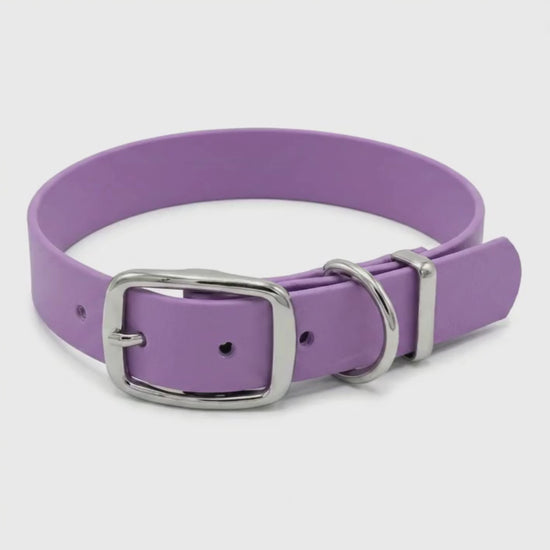 Purple biothane dog collar with buckle shown from a side angle as the camera slowly pans around the collar
