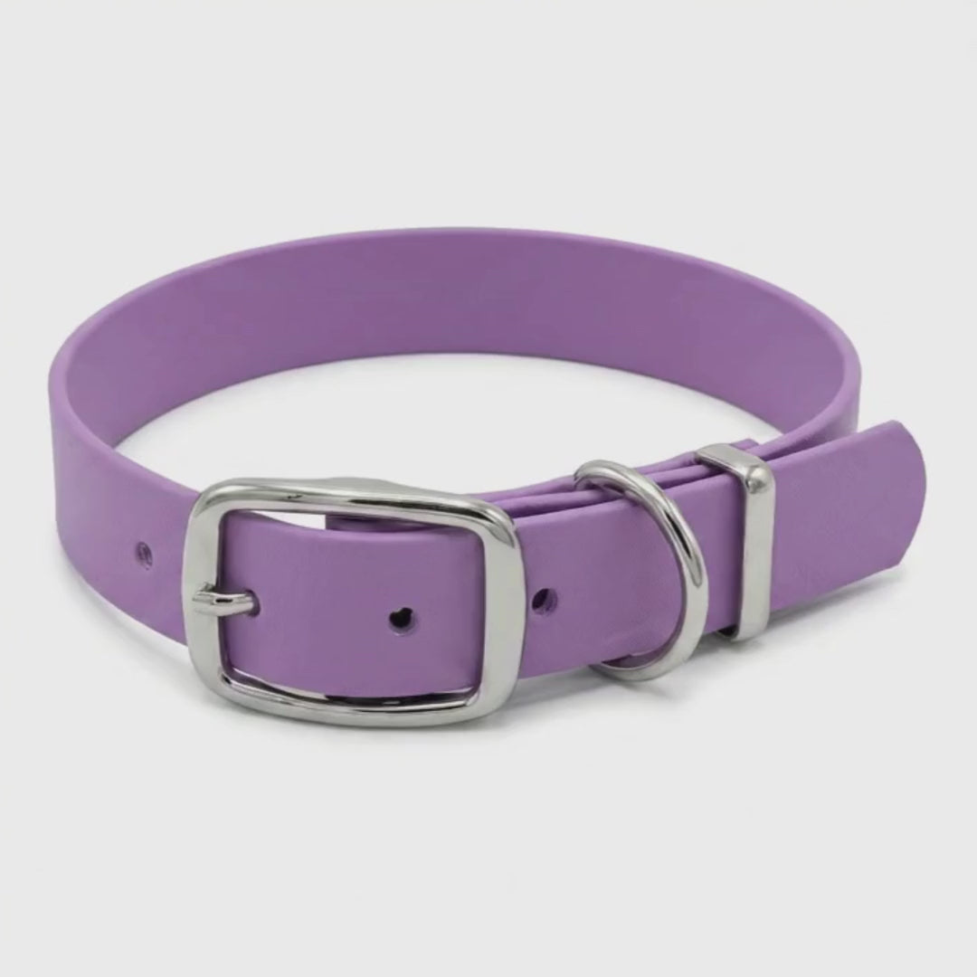 Purple biothane dog collar with buckle shown from a side angle as the camera slowly pans around the collar