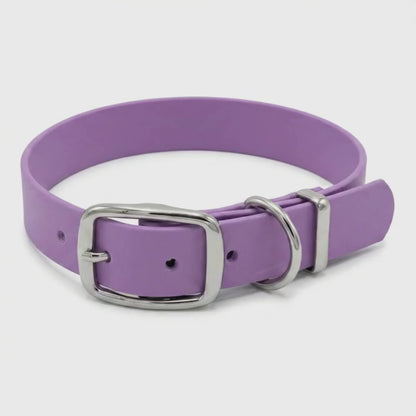 Purple biothane dog collar with buckle shown from a side angle as the camera slowly pans around the collar
